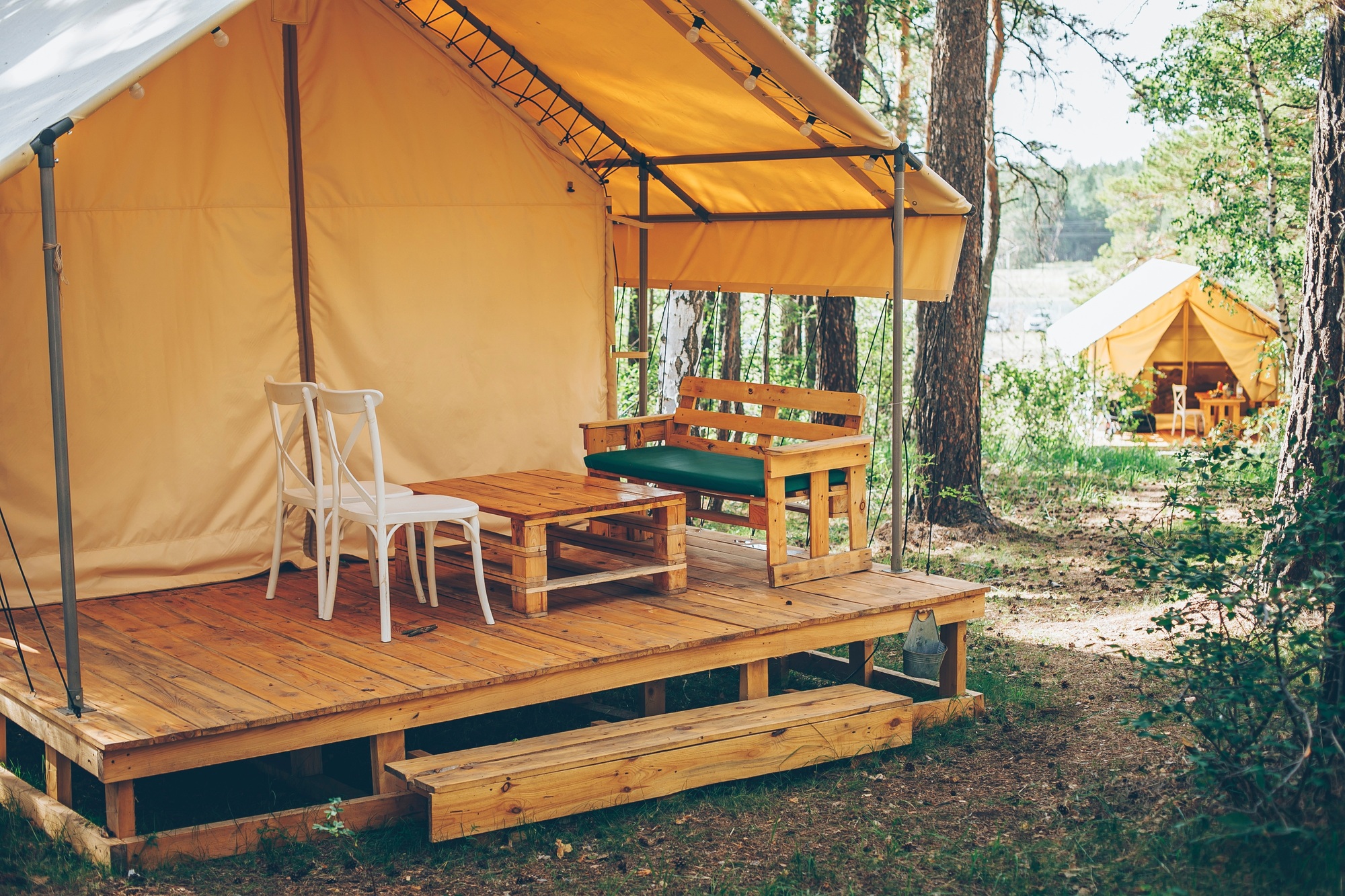 glamping-tent-in-forest.jpg